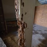 termite-damage-to-wood-under-house